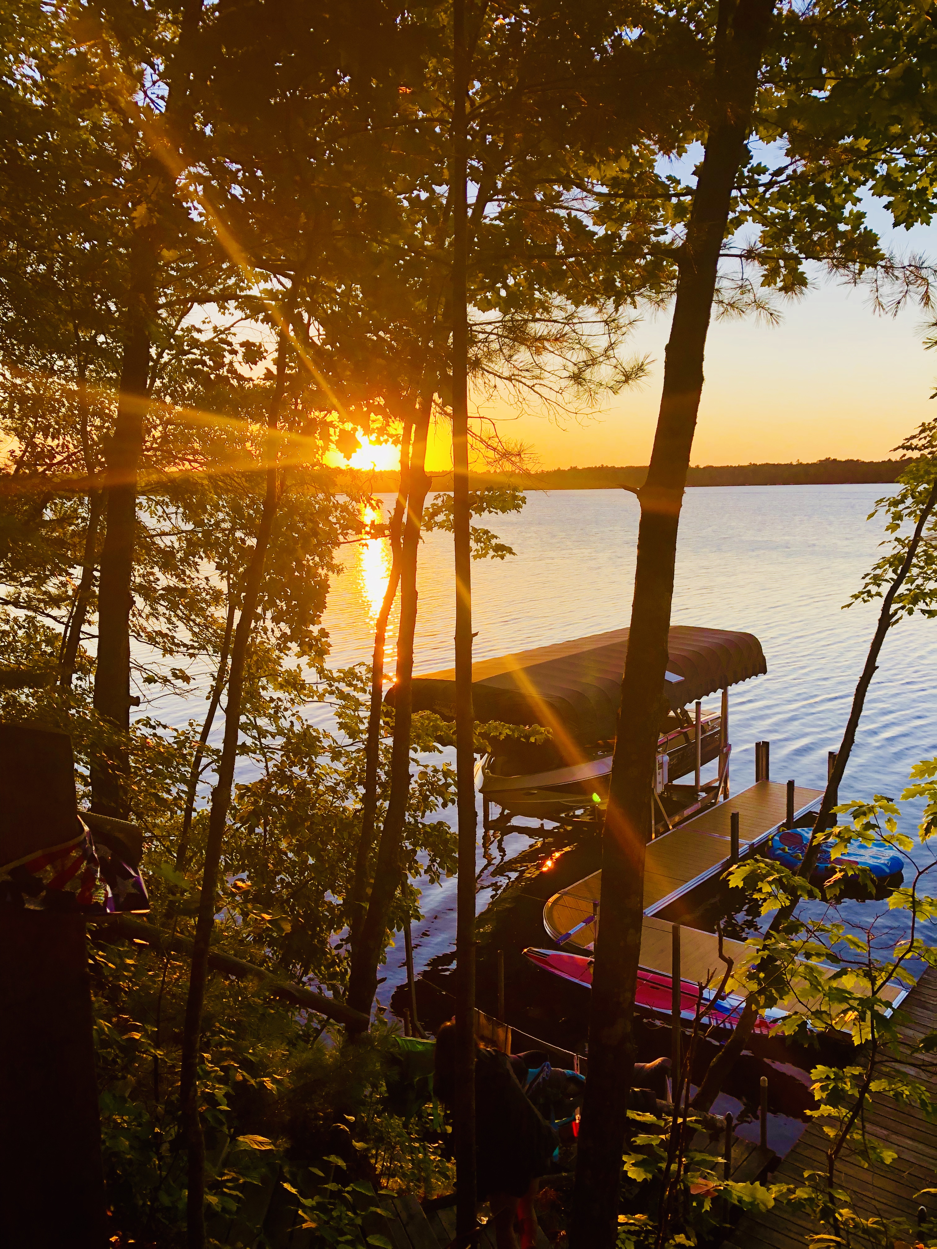 Member Login